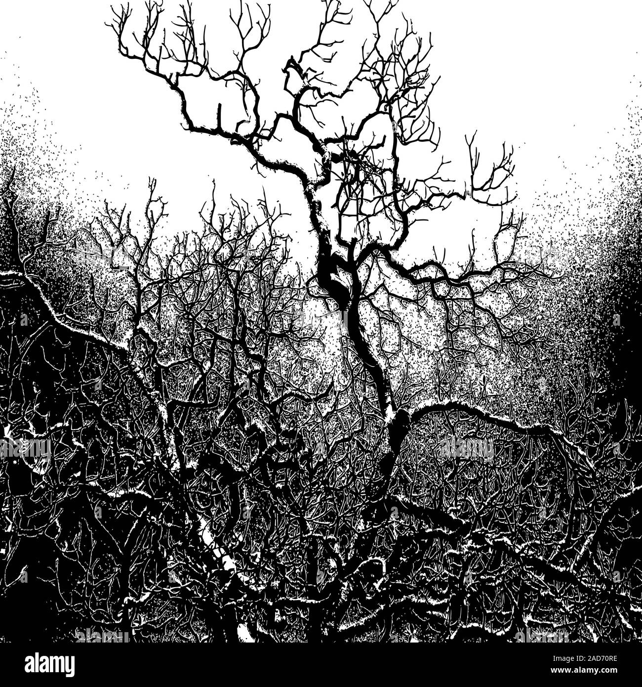 Leaves no traces. Leaves no traces