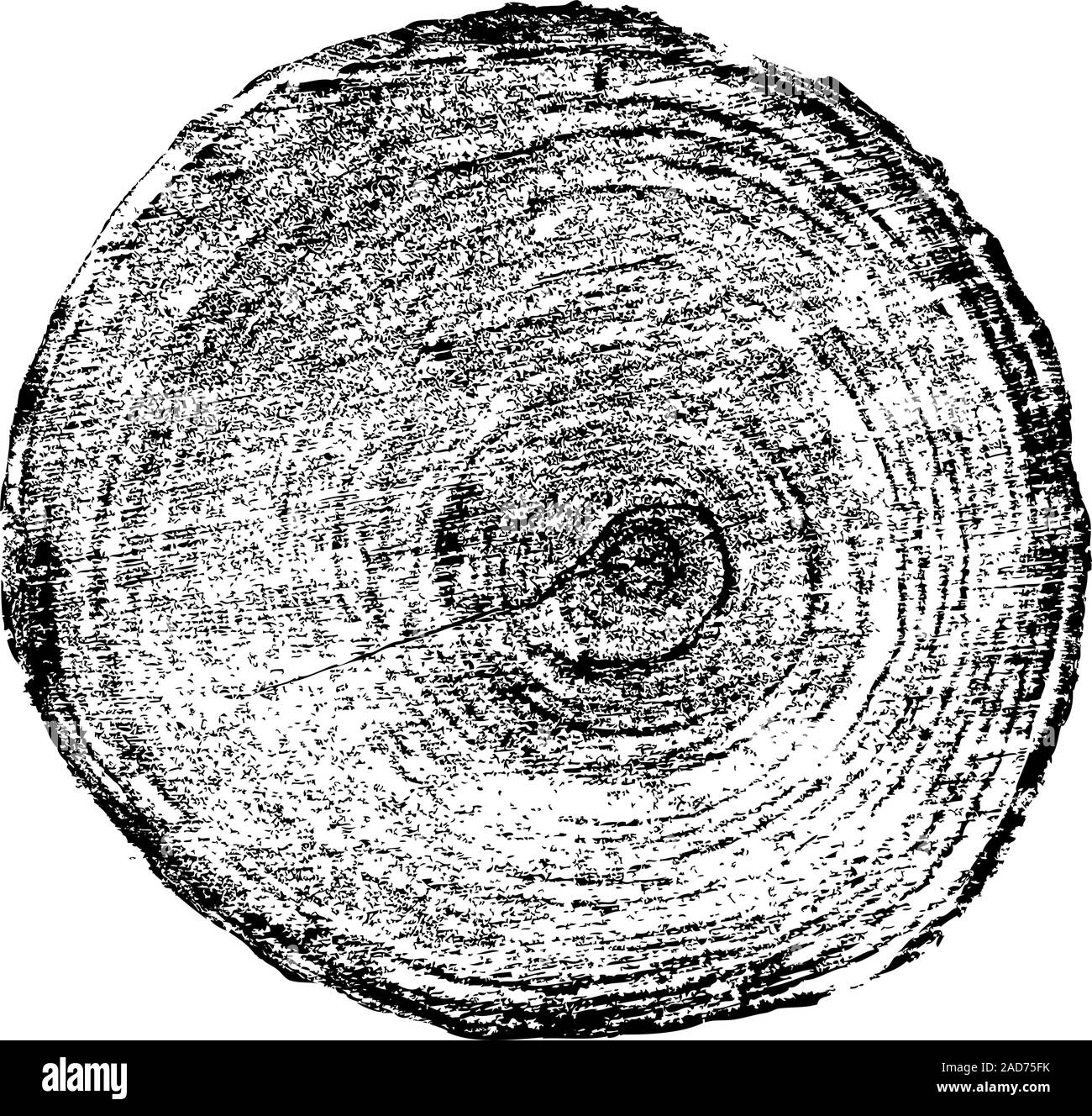 Tree rings saw cut tree trunk background. Vector illustration. Stock Vector