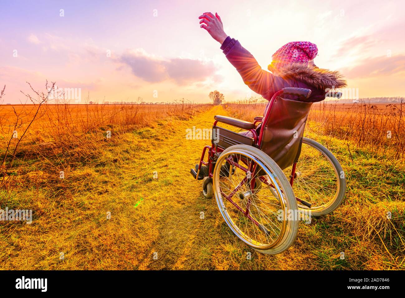 Happy woman at sunset. A young girl in a wheelchair - back view Stock ...