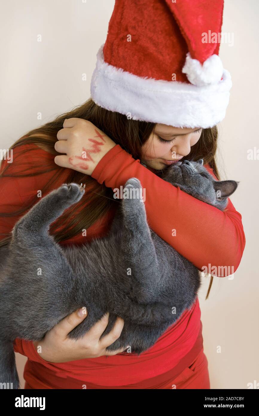 A girl in red Santa Claus hat and red sweater holding a gray kitten Stock Photo