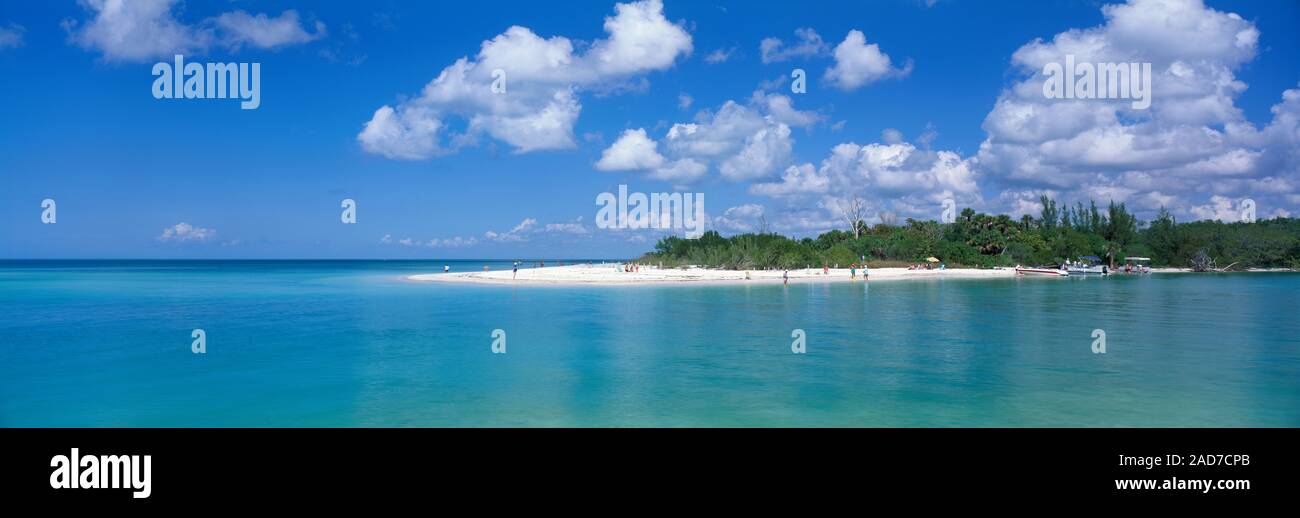 Sandy beach and palm trees of Delnor Wiggins State Park, Florida, USA Stock Photo