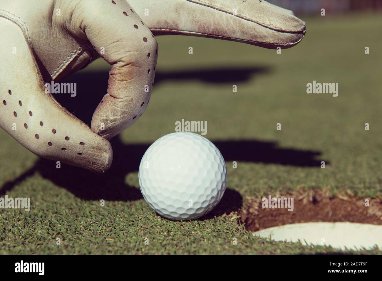 Golf player man pushing golf ball into the hole Stock Photo Alamy