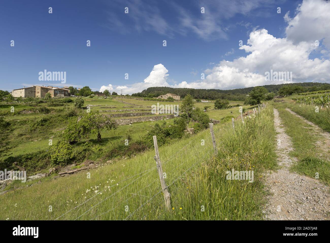 Field path in the Ardeche with spring-like vegetation Stock Photo