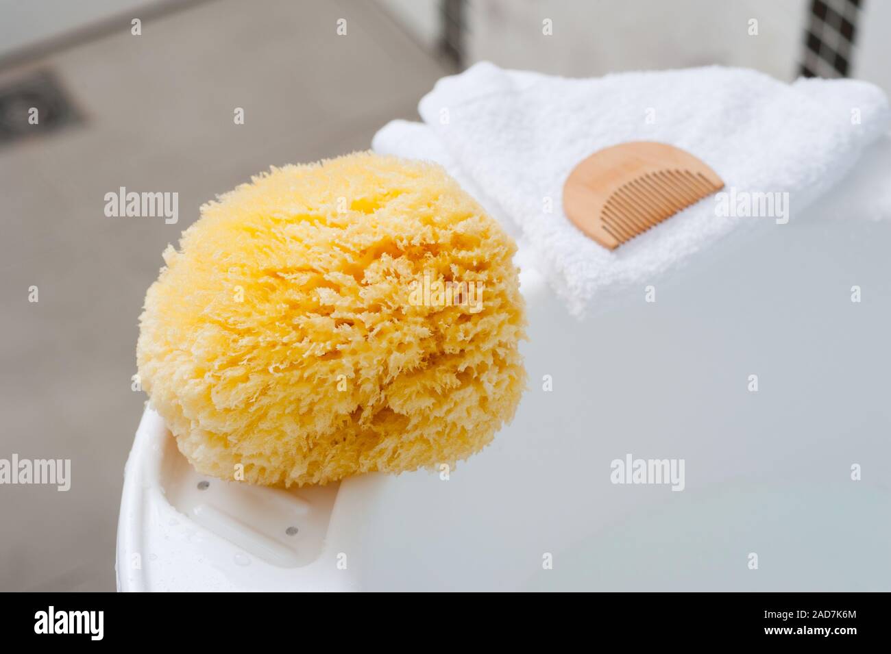 natural sea sponge baby