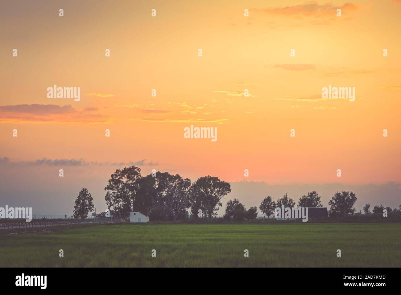 Sunset with silhouette of trees in Spain Stock Photo - Alamy
