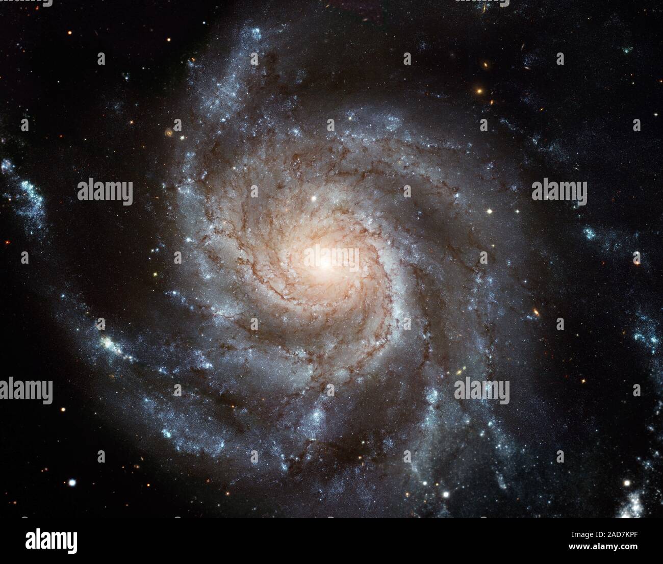 This giant spiral disk of stars, dust and gas is 170,000 light-years across, or nearly twice the diameter of our Milky Way galaxy. M101 is estimated to contain at least one trillion stars. About 100 billion of them could be similar to our Sun. Credit for Hubble Image: NASA, ESA, K. Kuntz (JHU), F. Bresolin (University of Hawaii), J. Trauger (Jet Propulsion Lab), J. Mould (NOAO), Y.-H. Chu (University of Illinois, Urbana), and STScICredit for CFHT Image: Canada-France-Hawaii Telescope/ J.-C. Cuillandre/CoelumCredit for NOAO Image: G. Jacoby, B. Bohannan, M. Hanna/ NOAO/AURA/NSF Stock Photo