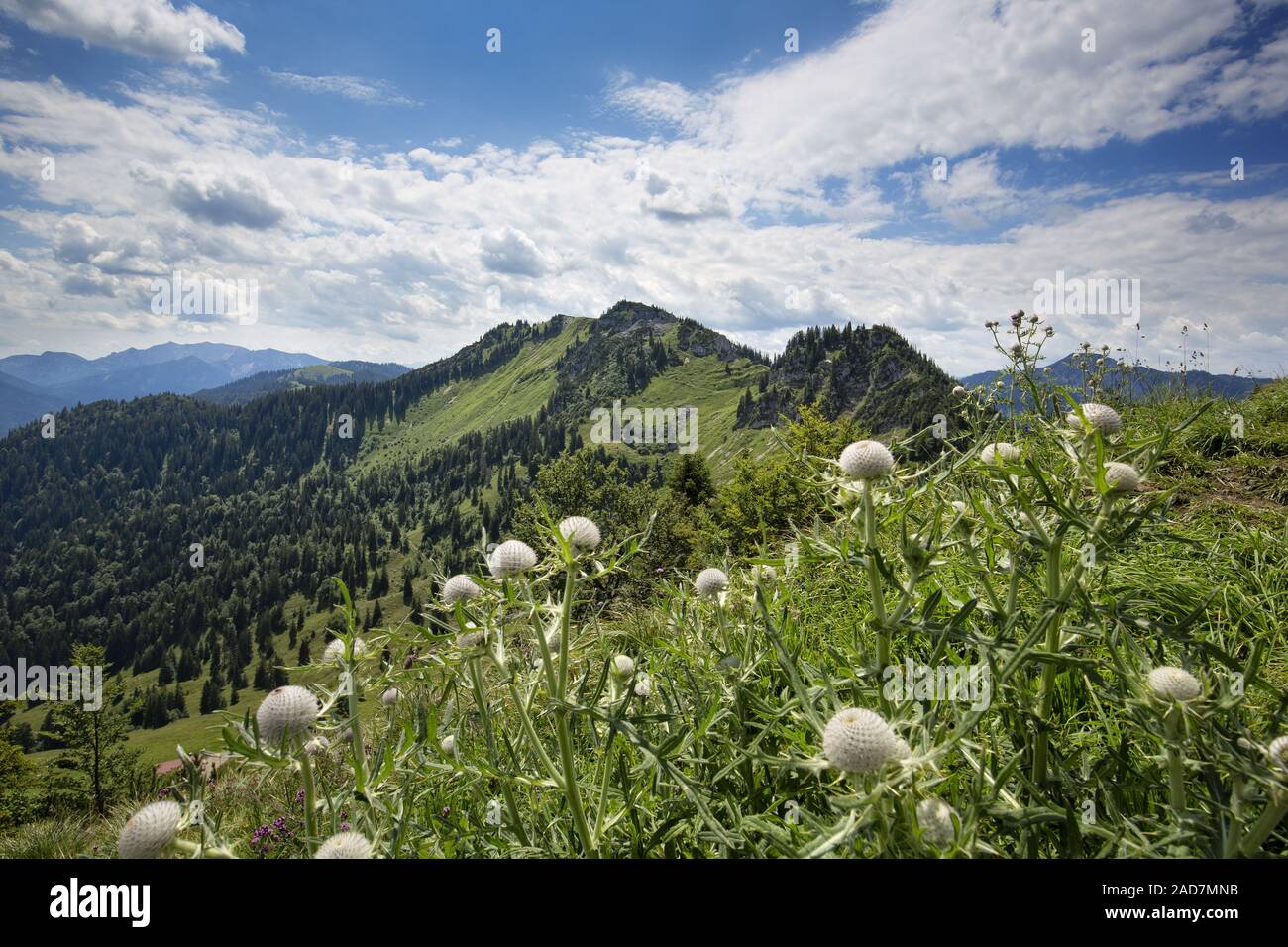 Hiking in the Mangfall mountains, ground cutting in the background Stock Photo