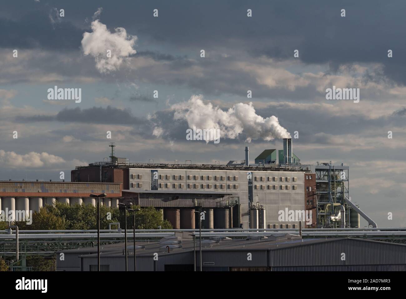 factory building in an industrial park in FrankfurtHoechst, Germany