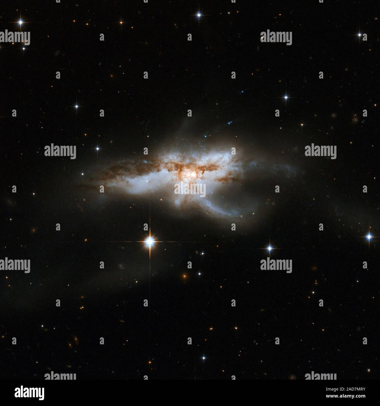 NGC 6240 is a peculiar, butterfly- or lobster-shaped galaxy consisting of  two smaller merging galaxies. It lies in the constellation of Ophiuchus,  the Serpent Holder, some 400 million light-years away. Observations with
