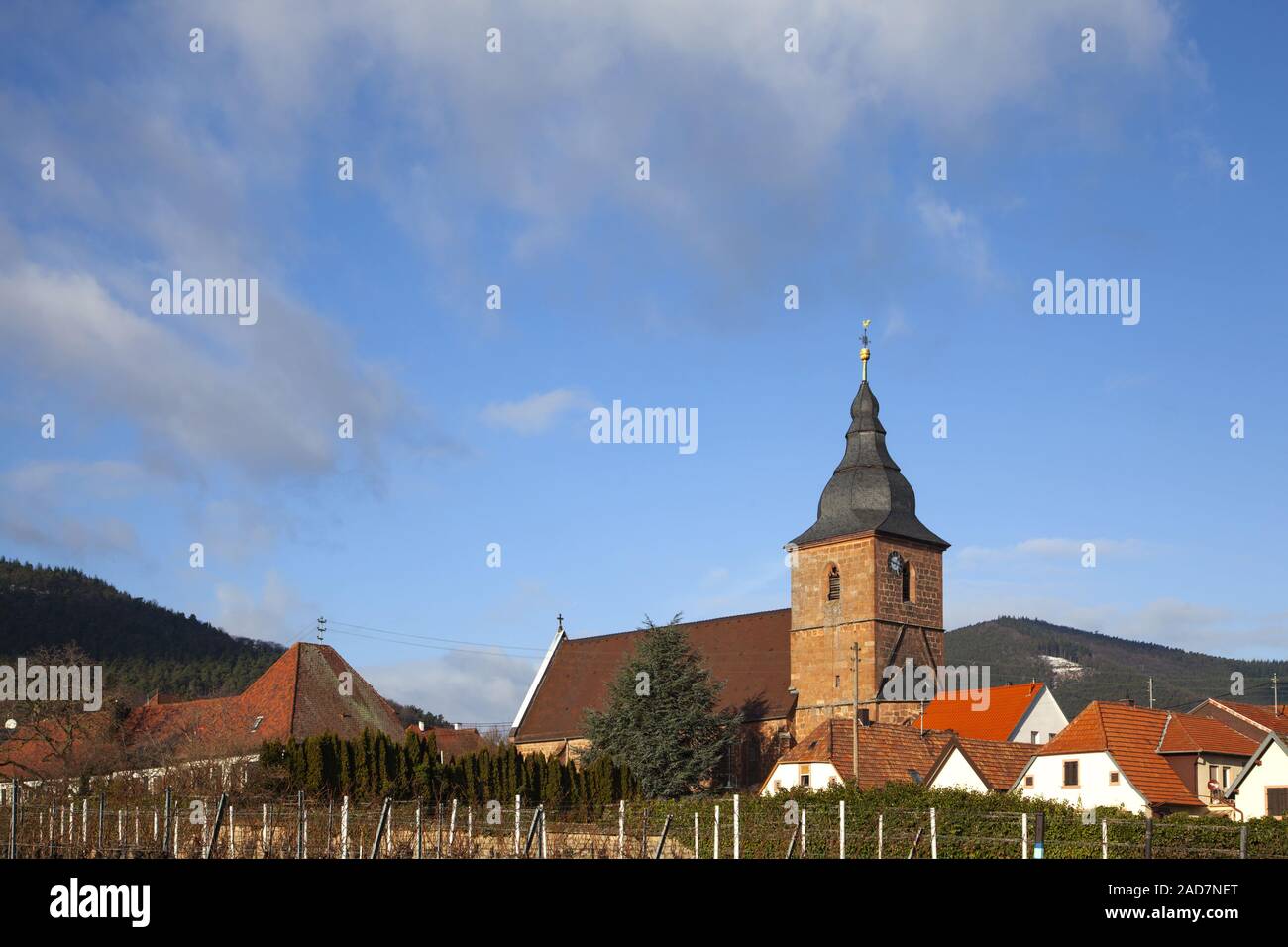 Burrweiler High Resolution Stock Photography And Images Alamy