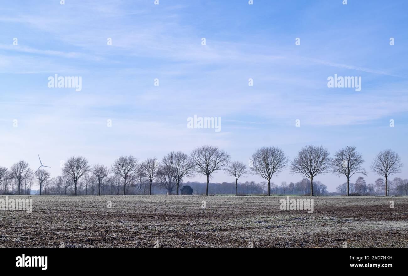 Winter landscape in Münsterland Stock Photo