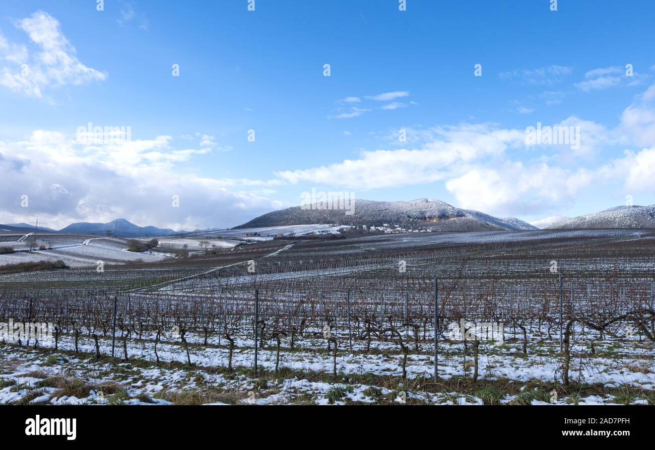 View over vineyards in the Palatinate Stock Photo