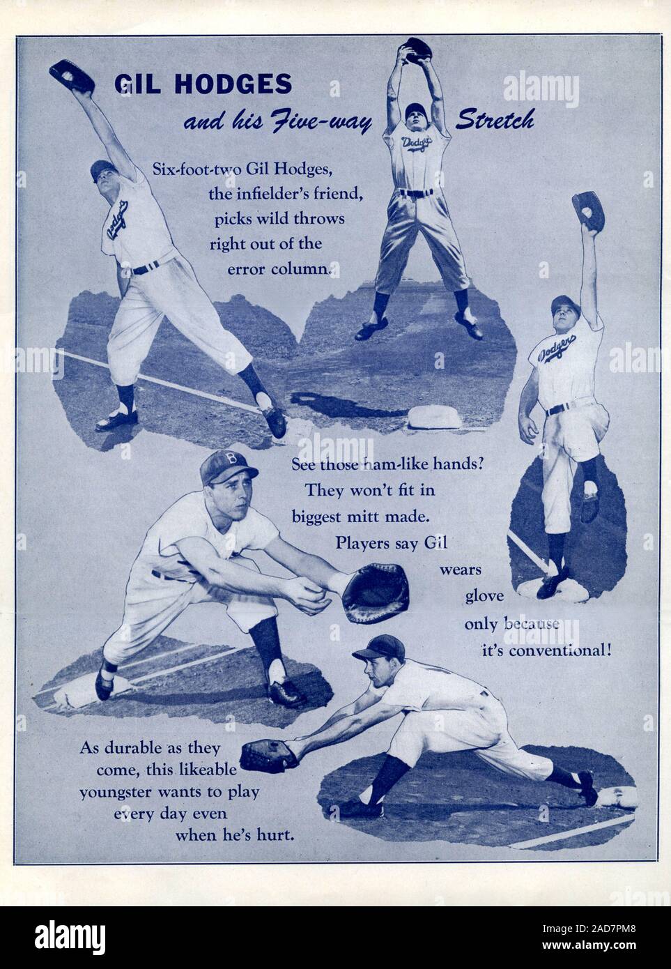 A page from the 1951 Brooklyn Dodgers Line Drives newsletter shows how Gil Hodges plays first base by stretching to receive the ball. Stock Photo