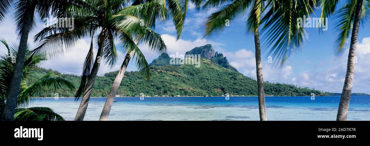 Panorama coast tahiti hi-res stock photography and images - Alamy
