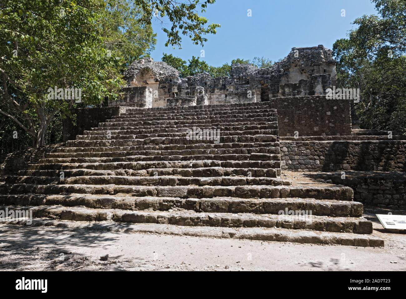 The ruins of the ancient Mayan city of calakmul, campeche, Mexico Stock Photo