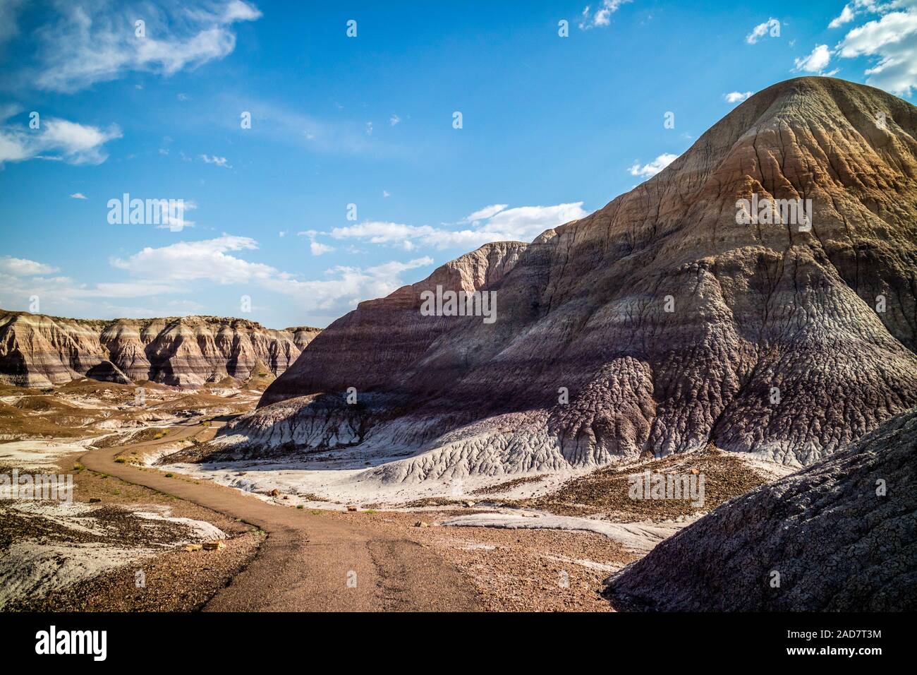 The Blue Mesa Trail in Petrified Forest National Park, Arizona Stock Photo