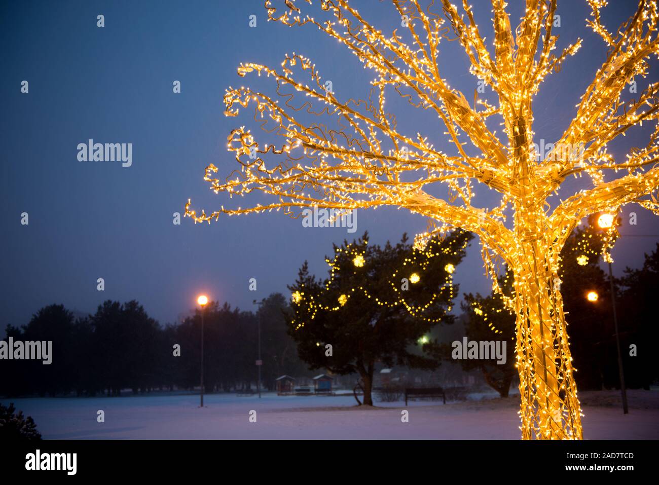 Gold lights Christmas Tree Stock Photo