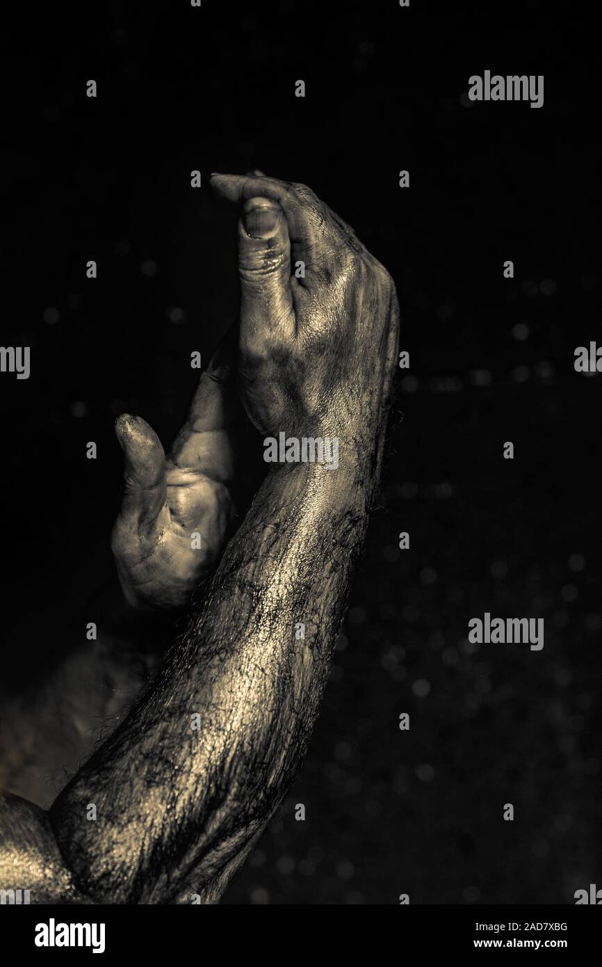 Close-up of a mans arm. Low key shoot. Stock Photo