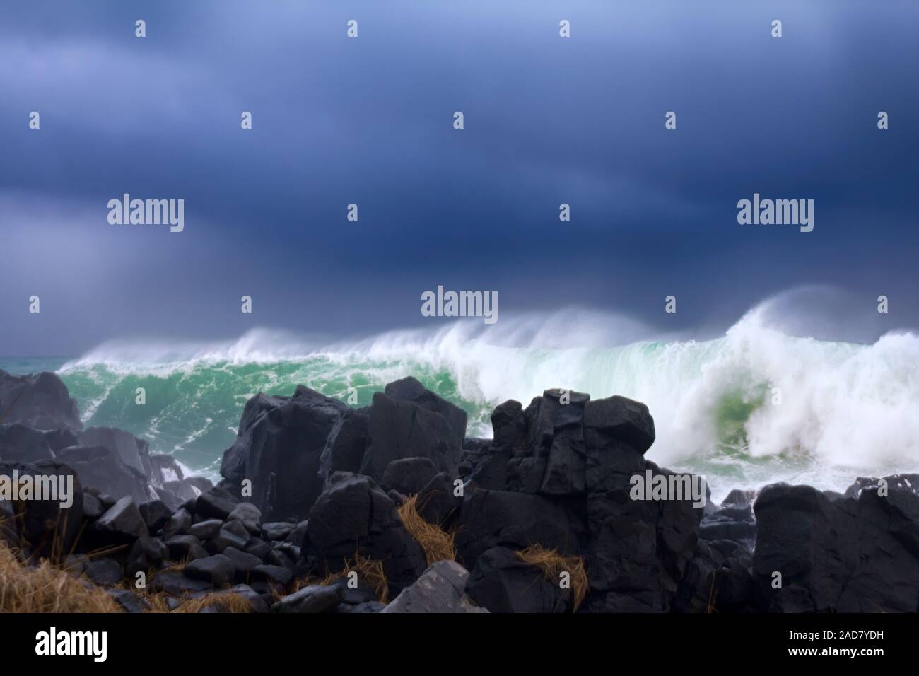 Pacific ocean tsunami pictures
