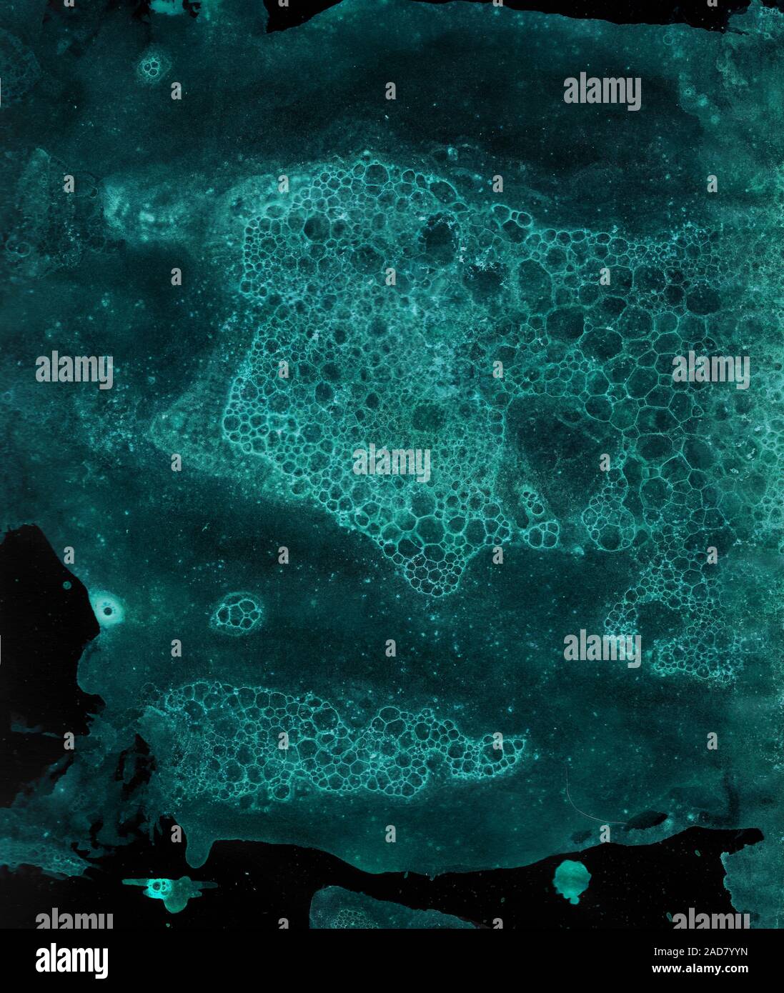 Abstract grunge cellular background Stock Photo