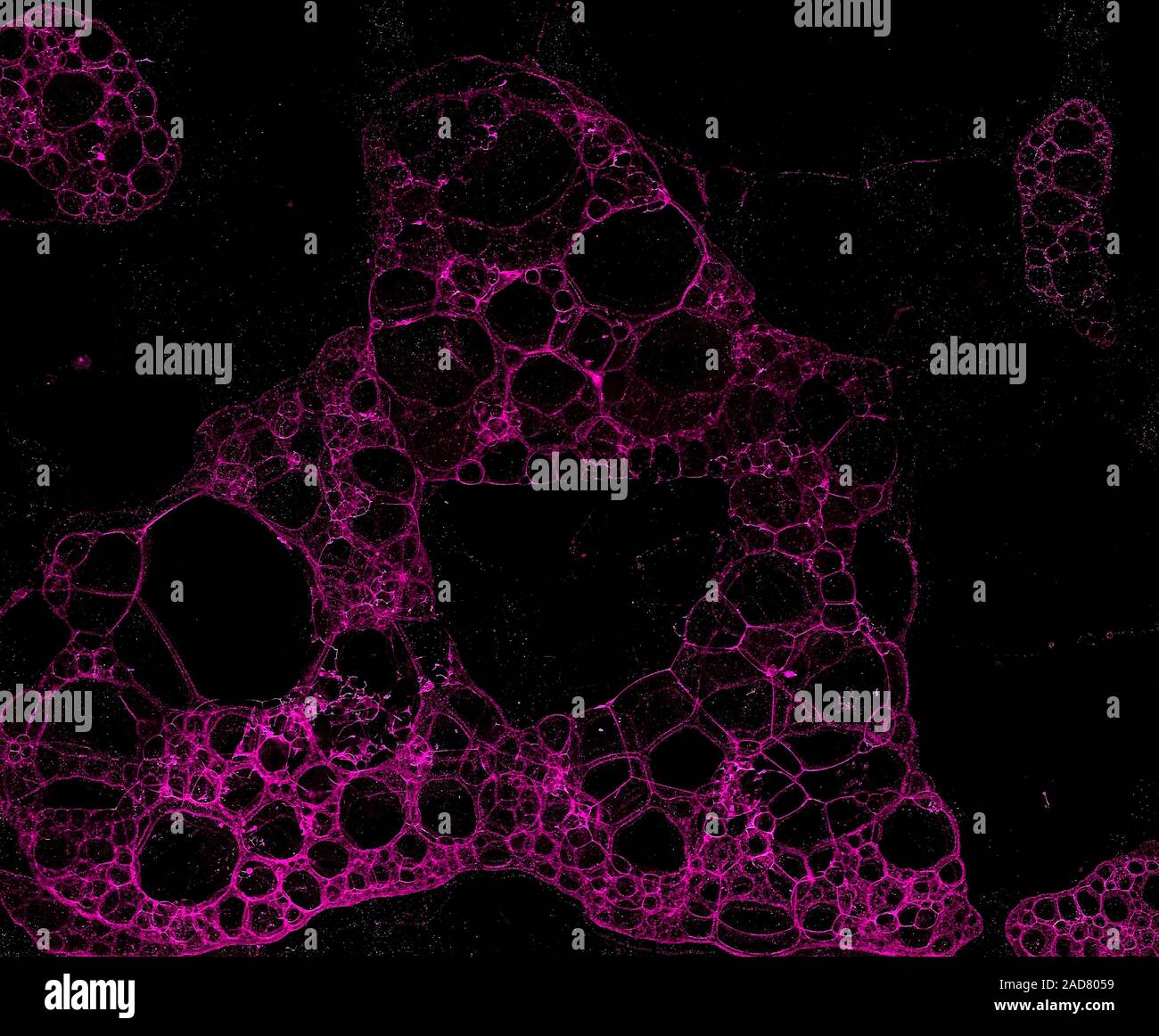 Abstract grunge cellular background Stock Photo