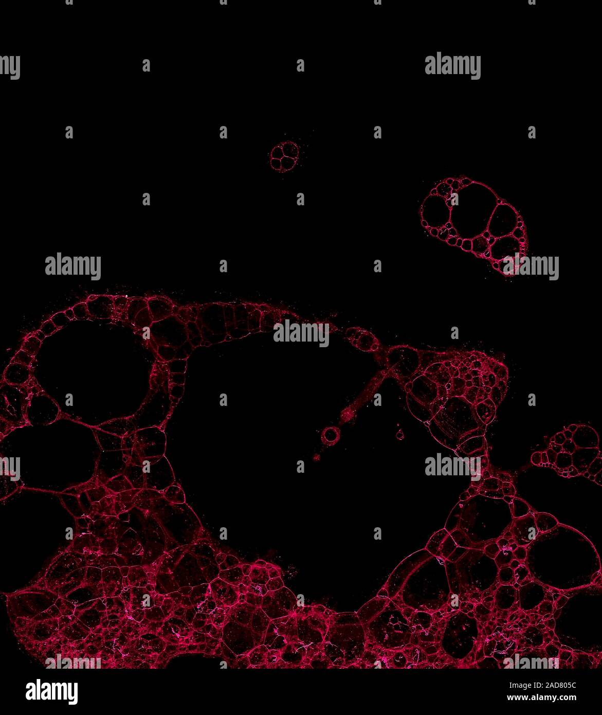 Abstract grunge cellular background Stock Photo