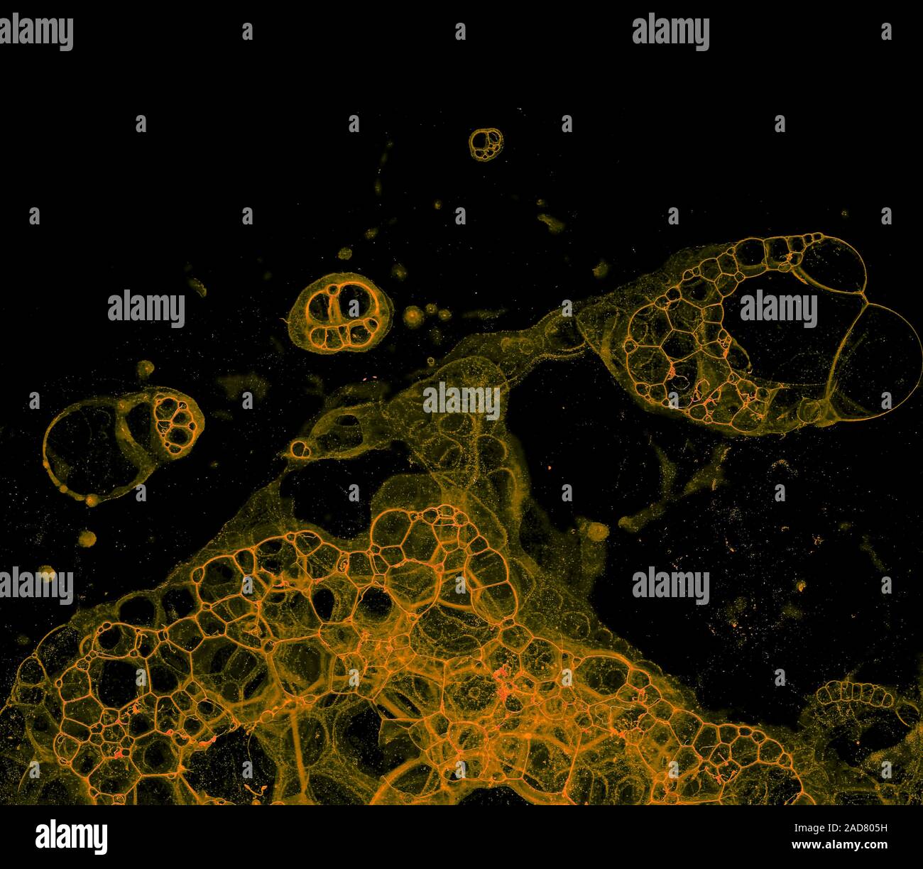 Abstract grunge cellular background Stock Photo