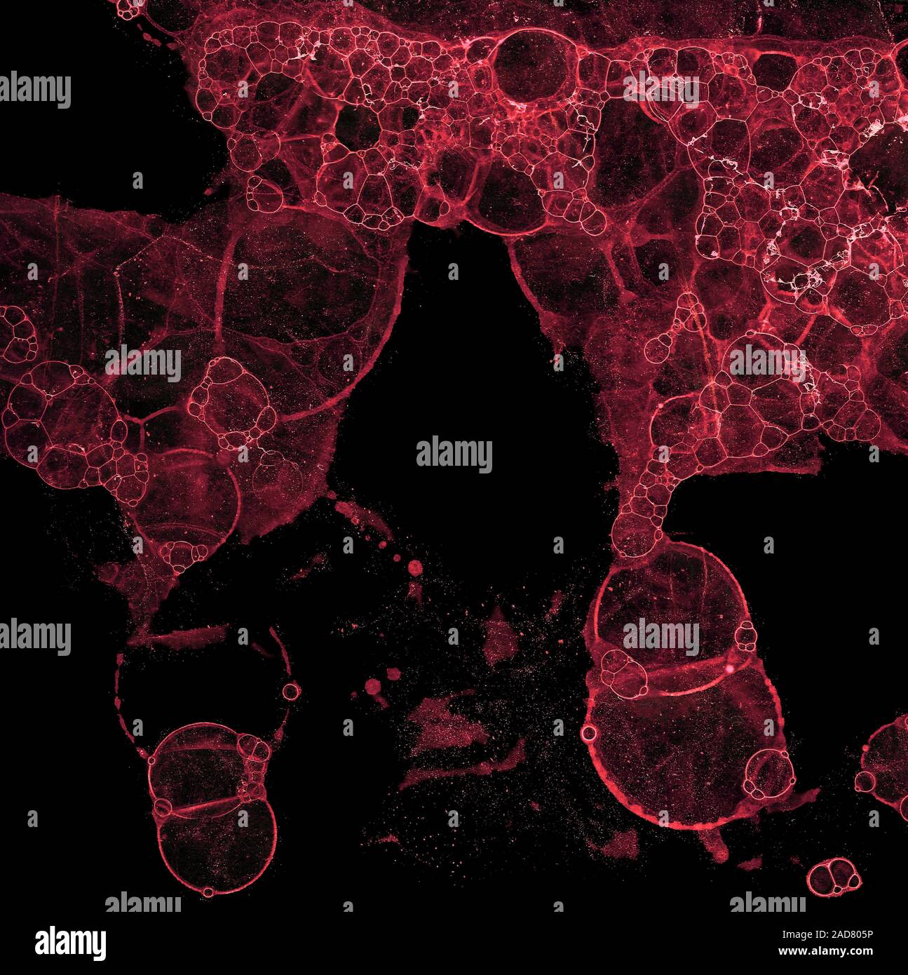 Abstract grunge cellular background Stock Photo