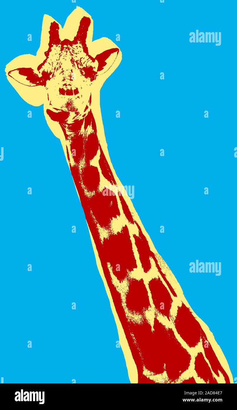 Giraffe picture over green background Stock Photo - Alamy