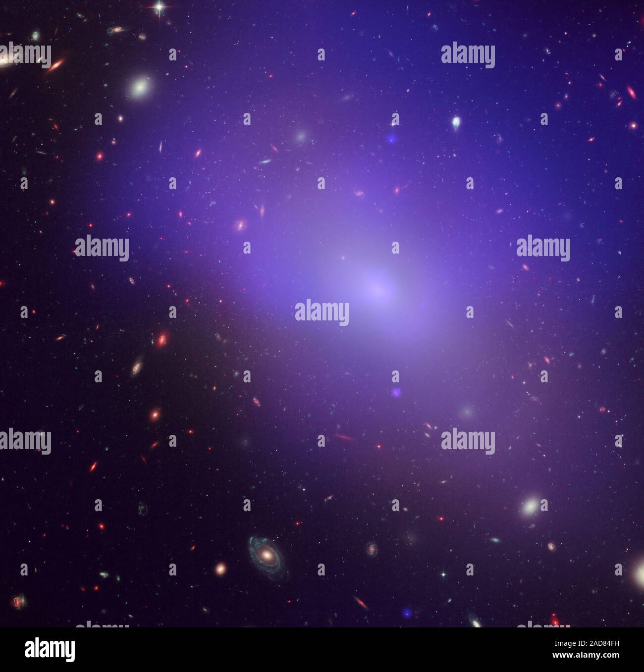 This image of the elliptical galaxy NGC 1132 combines an image from NASA's /Chandra X-Ray Observatory/ obtained in 2004 with images from the /Hubble Space Telescope/ made in 2005 and 2006 in green and near-infrared light. The blue/purple in the image is the X-ray glow from hot, diffuse gas. The giant foreground galaxy, numerous dwarf galaxies in its neighborhood, and many much more distant galaxies in the background are seen in visible light.   Object Name: NGC 1132    Image Type: Astronomical    Credit: NASA, ESA, M. West (ESO, Chile), and CXC/Penn State University/G. Garmire, et al. Stock Photo