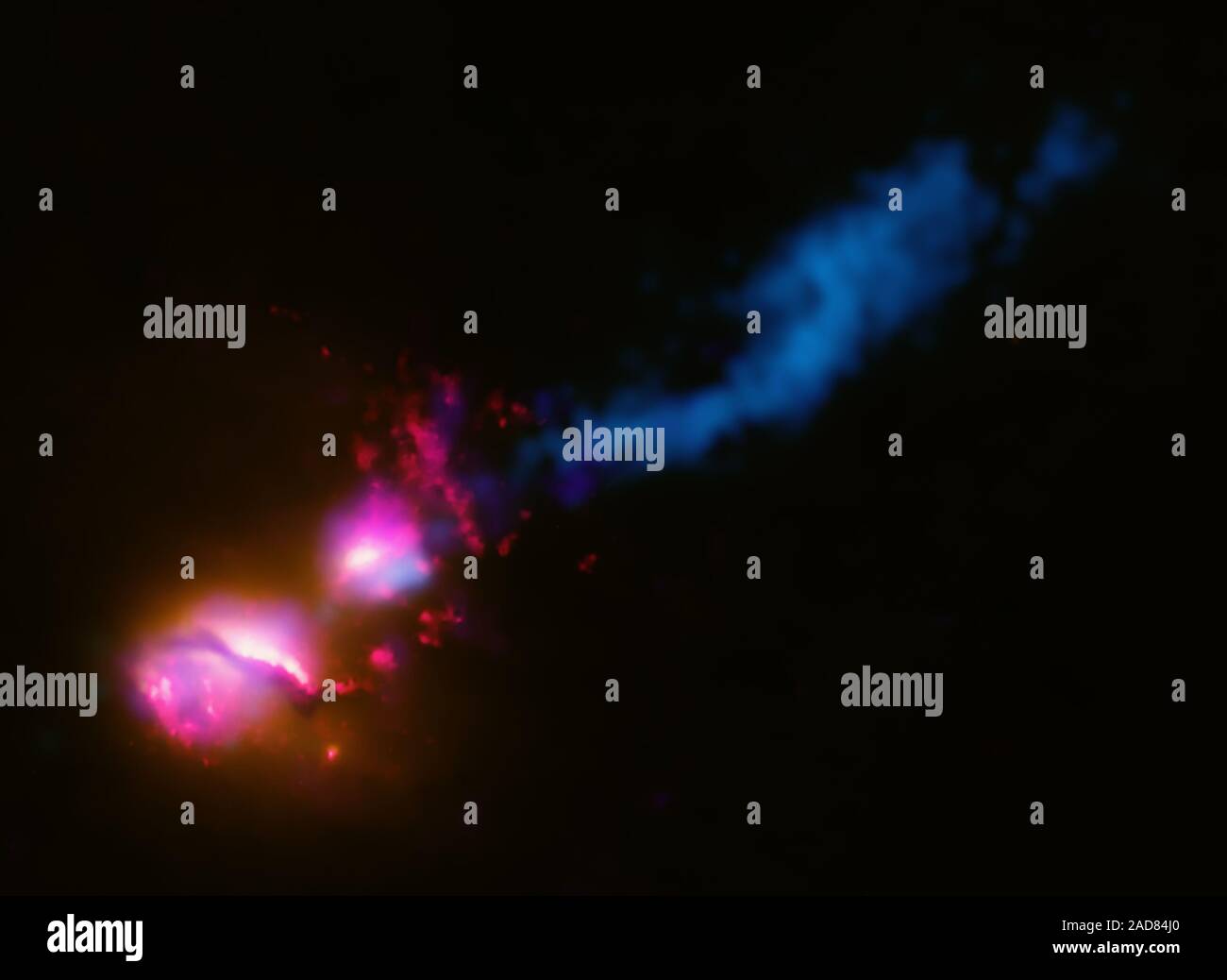 This composite image shows the jet from a black hole at the center of a galaxy striking the edge of another galaxy, the first time such an interaction has been found. In the image, data from several wavelengths have been combined. X-rays from Chandra (colored purple), optical and ultraviolet (UV) data from Hubble (red and orange), and radio emission from the Very Large Array (VLA) and MERLIN (blue) show how the jet from the main galaxy on the lower left is striking its companion galaxy to the upper right. The jet impacts the companion galaxy at its edge and is then disrupted and deflected, muc Stock Photo
