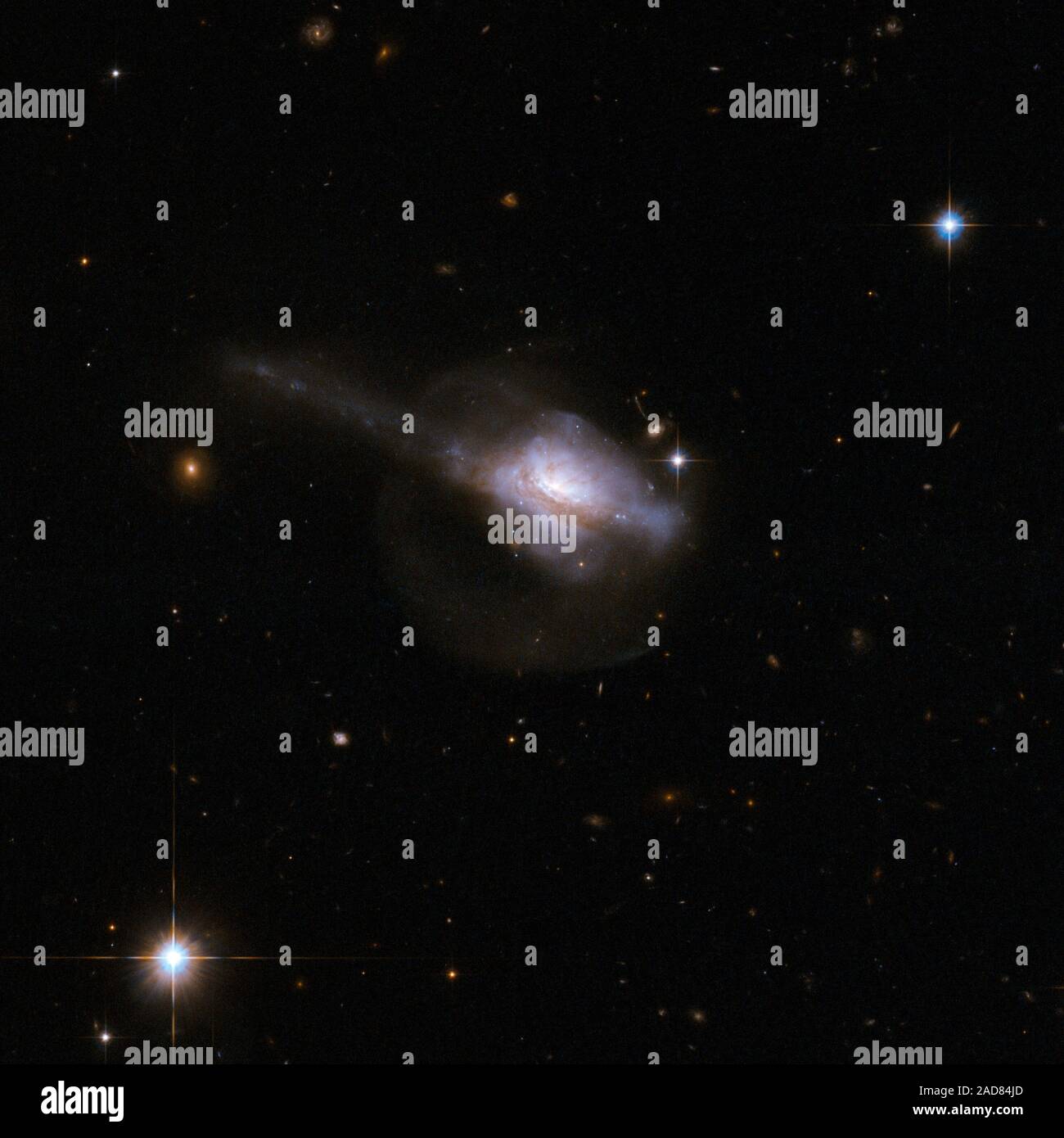 UGC 5101 is a peculiar galaxy with a single nucleus contained within an unstructured main body that suggests a recent interaction and merger. UGC 5101 is thought to contain an active galactic nucleus an extremely bright, compact core - buried deep in the gas and dust. A pronounced tail extends diagonally to the top-right of the frame. A fainter halo of stars surrounds the galaxy and is visible in the image, due to Hubble s ability to collect and detect faint light. This halo is probably a result of the earlier collision. UGC 5101 is about 550 million light-years away from Earth.   This image i Stock Photo
