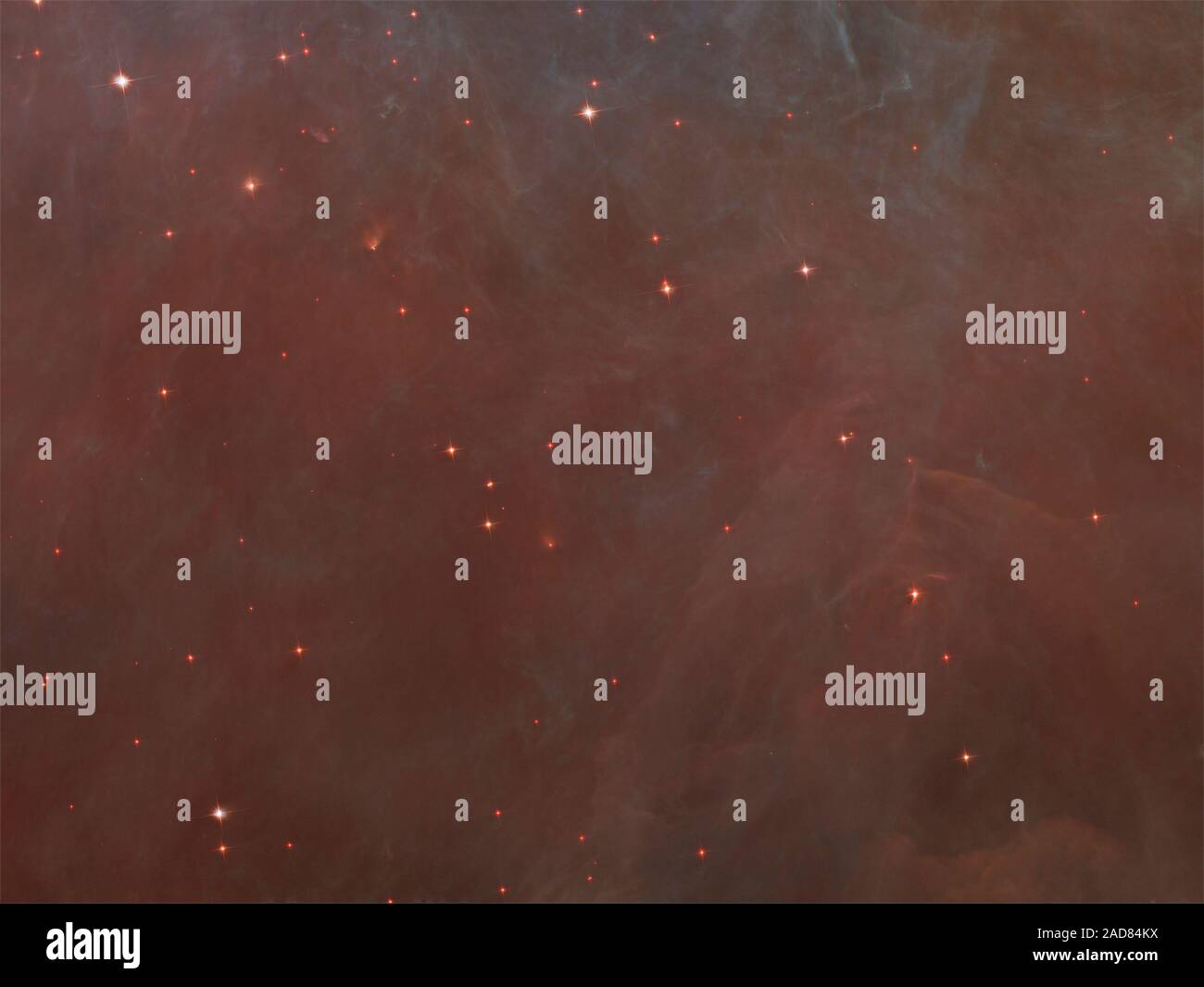 The Faint Red Stars In This Close Up Image Are The Myriad Brown