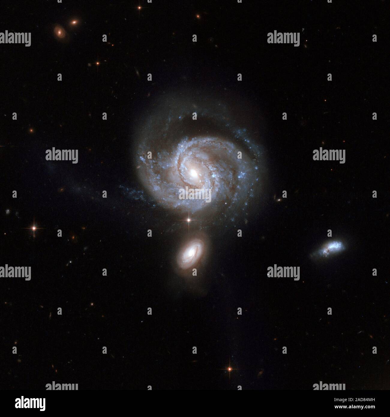 NGC 7674 (seen just above the center), also known as Markarian 533, is the brightest and largest member of the so-called Hickson 96 compact group of galaxies, consisting of four galaxies. This stunning Hubble image shows a spiral galaxy nearly face-on. The central bar-shaped structure is made up of stars. The shape of NGC 7674, including the long narrow streamers seen to the left of and below the galaxy can be accounted for by tidal interactions with its companions. NGC 7674 has a powerful active nucleus of the kind known as a type 2 Seyfert that is perhaps fed by gas drawn into the center thr Stock Photo