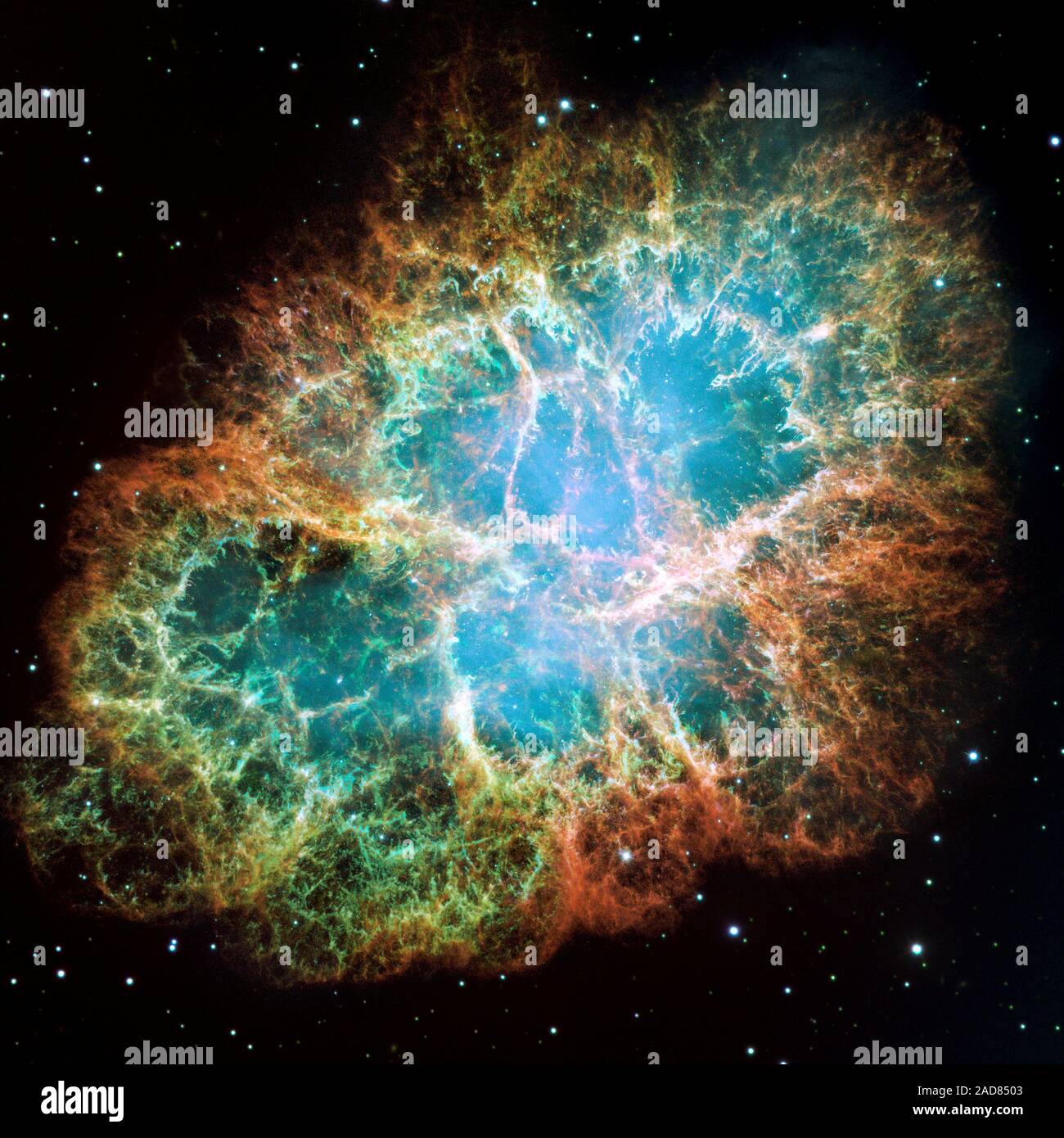 This is a mosaic image, one of the largest ever taken by NASA's Hubble Space Telescope of the Crab Nebula, a six-light-year-wide expanding remnant of a star's supernova explosion. Japanese and Chinese astronomers recorded this violent event nearly 1,000 years ago in 1054, as did, almost certainly, Native Americans.   The orange filaments are the tattered remains of the star and consist mostly of hydrogen. The rapidly spinning neutron star embedded in the center of the nebula is the dynamo powering the nebula's eerie interior bluish glow. The blue light comes from electrons whirling at nearly t Stock Photo