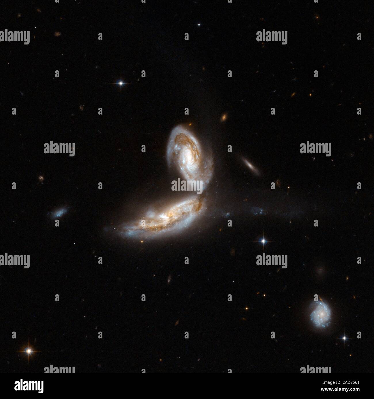 NGC 5331 is a pair of interacting galaxies beginning to hold their arms . There is a blue trail which appears in the image flowing to the right of the system. NGC 5331 is very bright in the infrared, with about a hundred billion times the luminosity of the Sun. It is located in the constellation Virgo, the Maiden, about 450 million light-years away from Earth.   This image is part of a large collection of 59 images of merging galaxies taken by the Hubble Space Telescope and released on the occasion of its 18th anniversary on 24th April 2008.    Object Names: NGC 5331, VV 253, KPG 401    Image Stock Photo