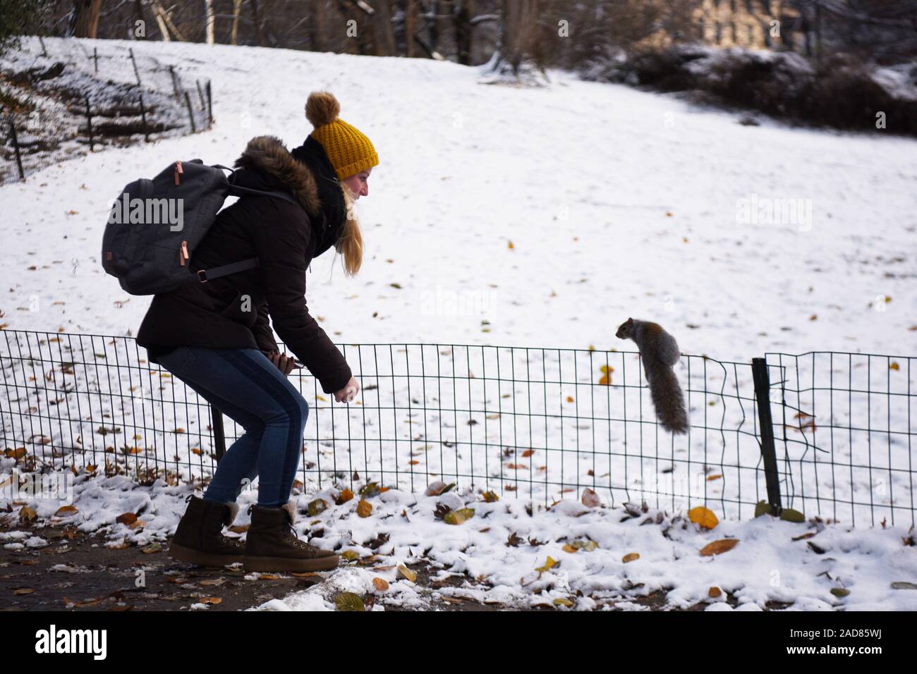 New York, USA. 3rd Dec, 2019. A visitor interacts with a squirrel after a snowfall in Central Park in New York, the United States, on Dec. 3, 2019. The first snowfall of the season hit New York City on Monday. Credit: Han Fang/Xinhua/Alamy Live News Stock Photo