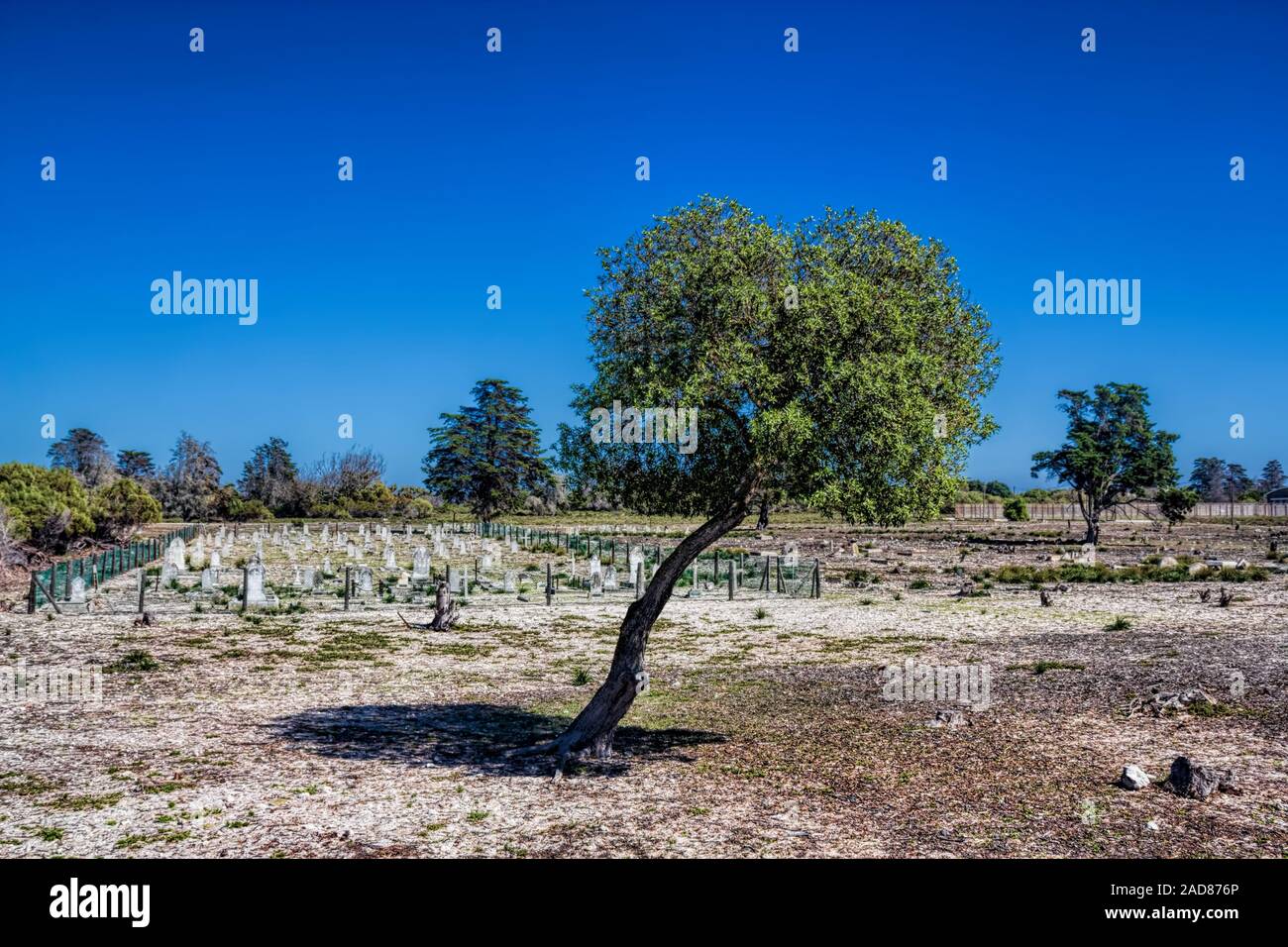 Robben Island, Cemetery Stock Photo