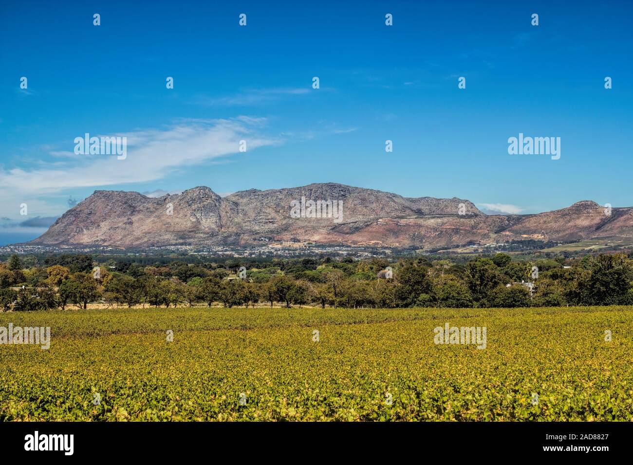 South Africa, Constantia Stock Photo Alamy
