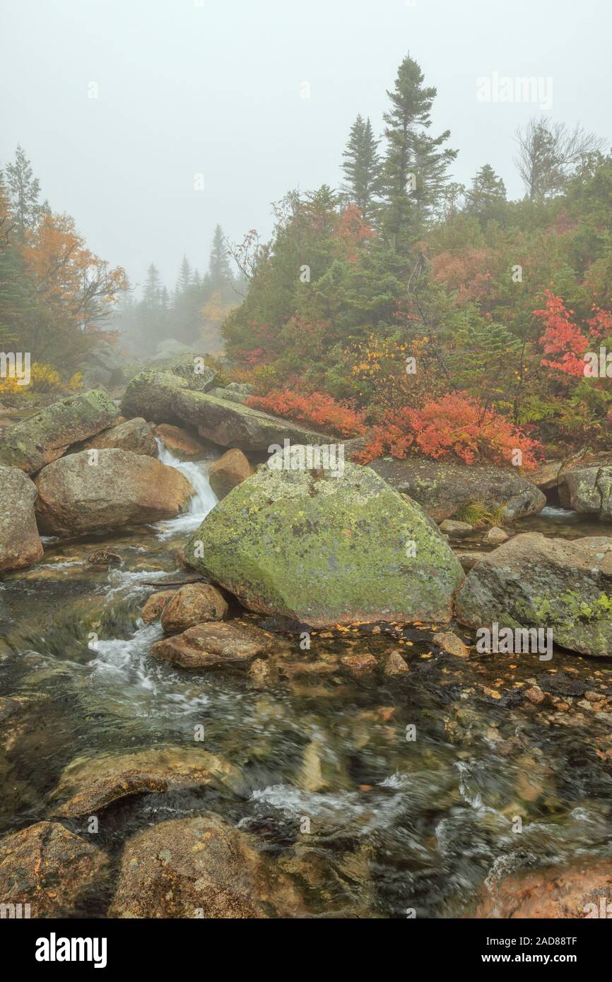 Roaring Brook in Baxter State Park on a foggy afternoon. Stock Photo