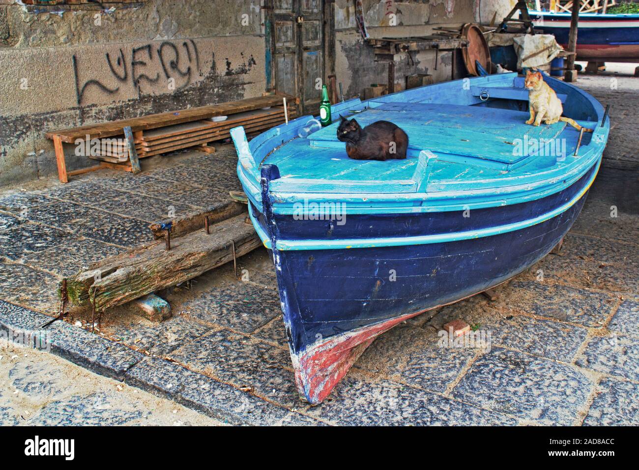 Fishing boat with cats Stock Photo