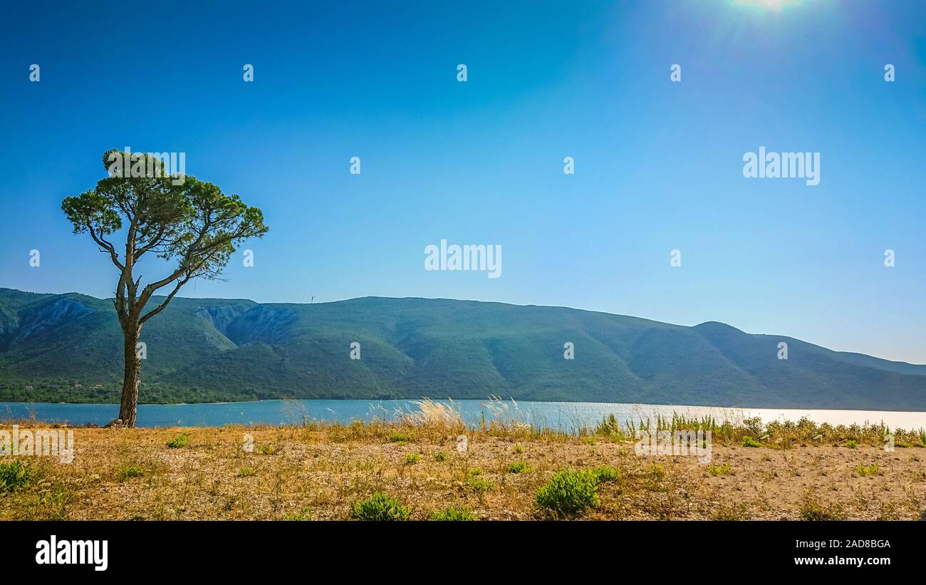 View of lonely tree and sea on Croatia and Bosnia and Herzegovina region Stock Photo