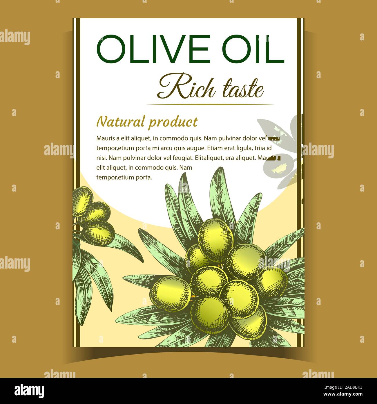 Agricultural Olive Tree Branch on Poster Vector Stock Vector Image ...