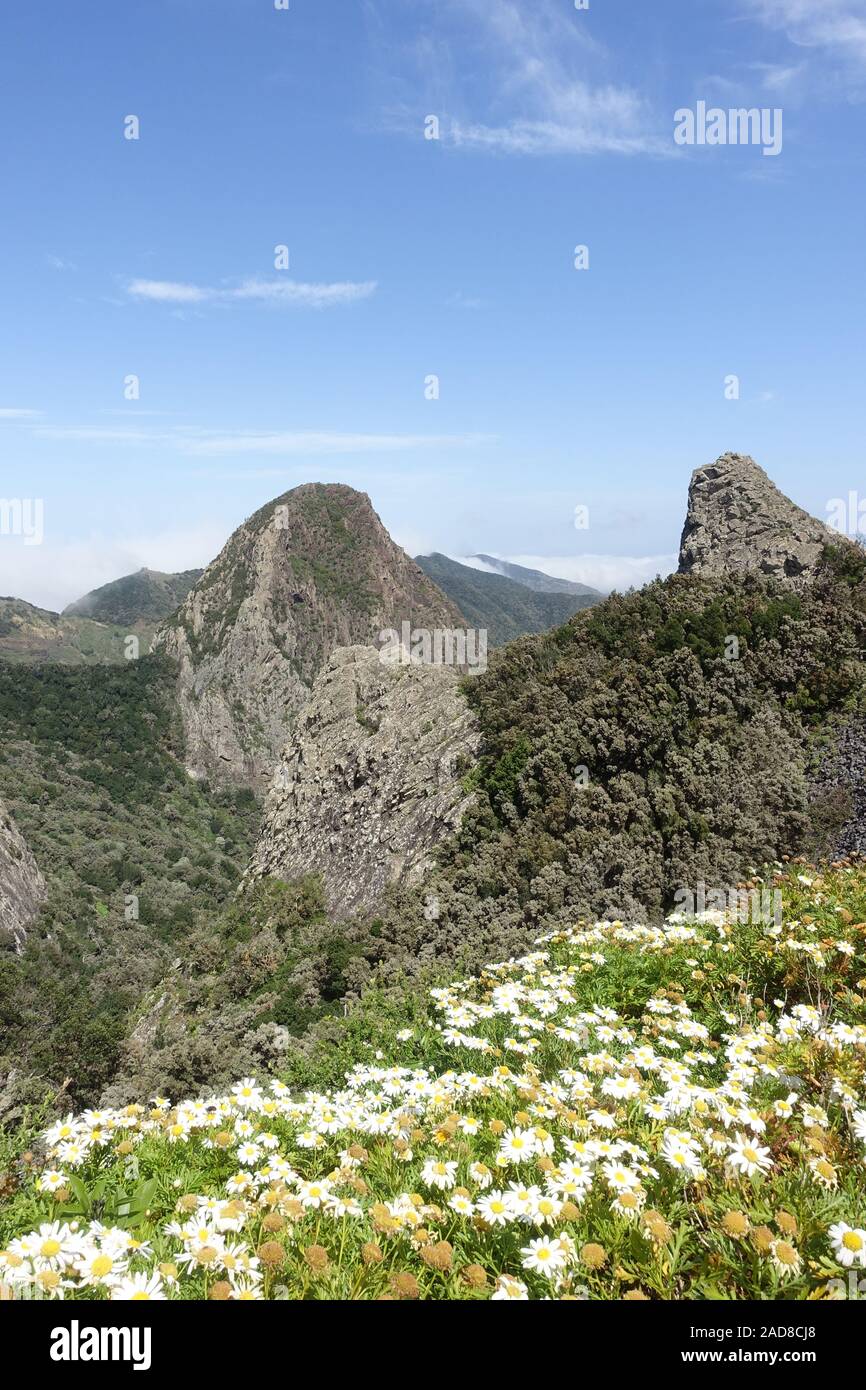 Natural Monument of Los Roques, La Gomera, Kanarische Inseln Stock Photo