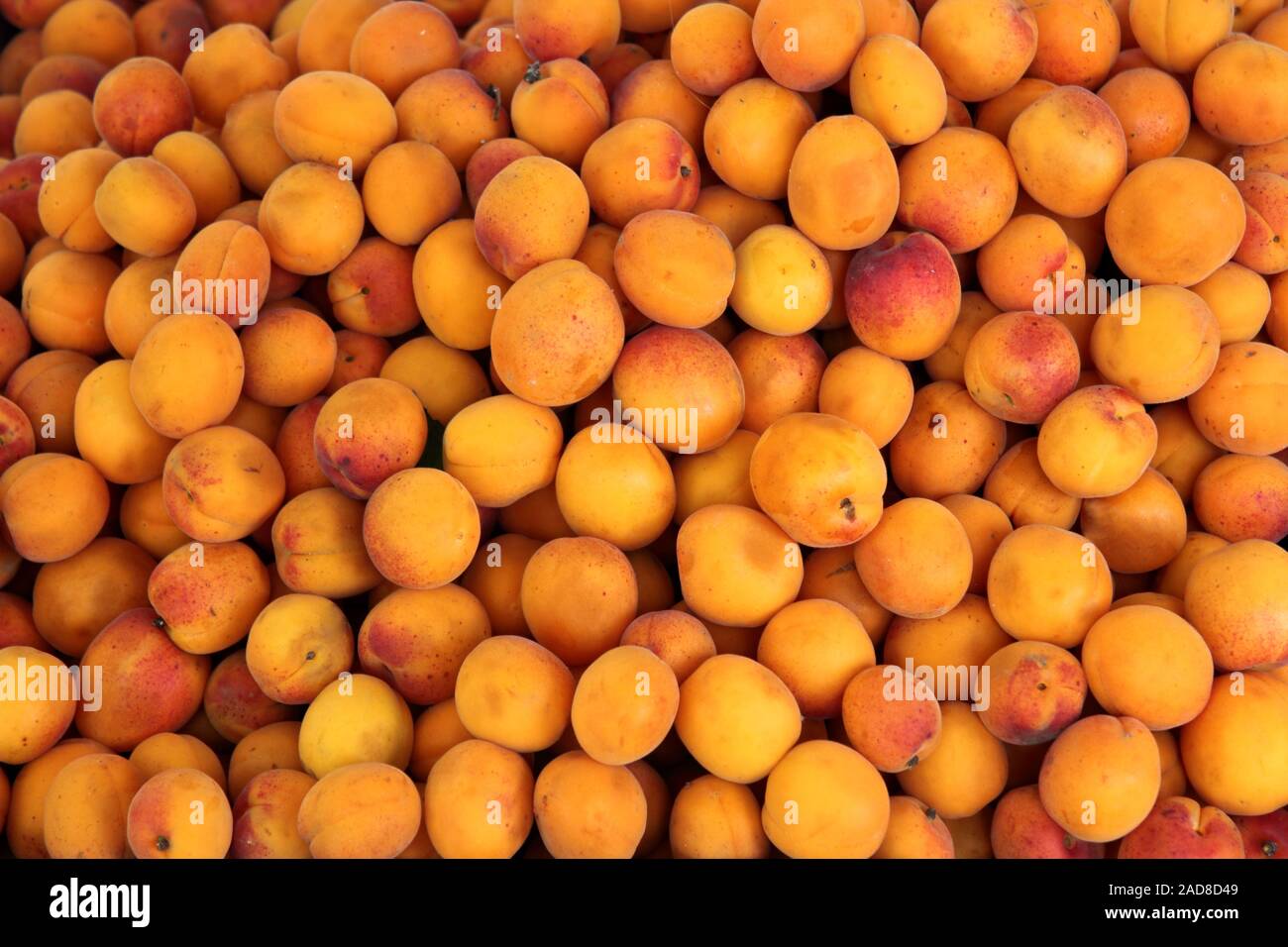 apricots Stock Photo