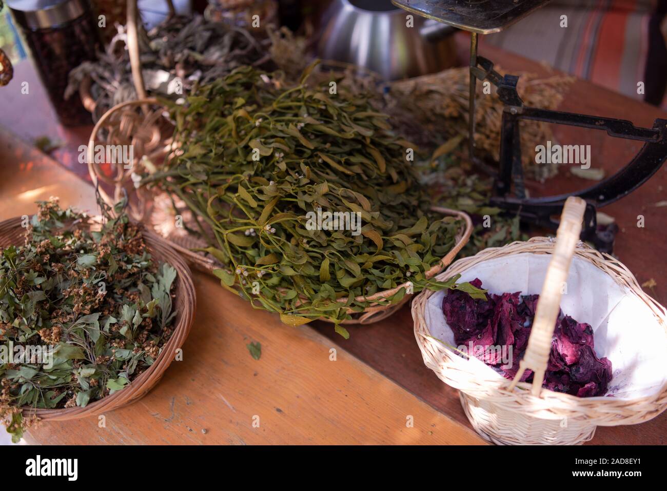 herbalist workshop Stock Photo