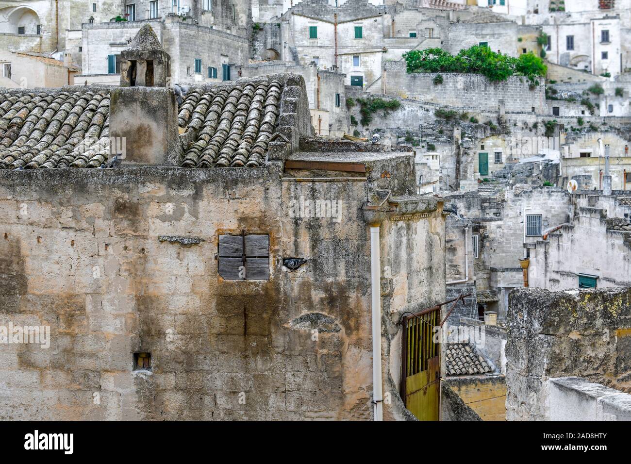 A pigeon fits perfectly inside a worn away stone roost in an ancient stone wall in the village of Matera, Italy, in the Southern region of Basilicata. Stock Photo