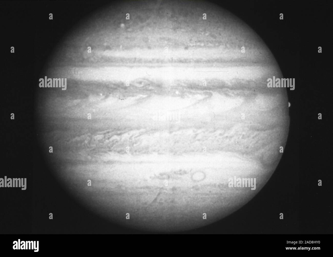 This black and white picture of Jupiter, taken in green light at 1:14 a.m. on the 11th March, 1991 by the Planetary Camera on NASA's Hubble Space Telescope, shows a wealth of fine detail in the clouds that cover the planet. The Great Red Spot is seen at the lower right, also on the right near the equator the satellite Europa is disappearing behind the limb of the planet. The dark 'j' shaped clouds along the equator are the result of a pattern of intense jet streams in the Jovian atmosphere. This picture is as sharp as the Voyager pictures taken five days before the closest approach in 1979. Stock Photo