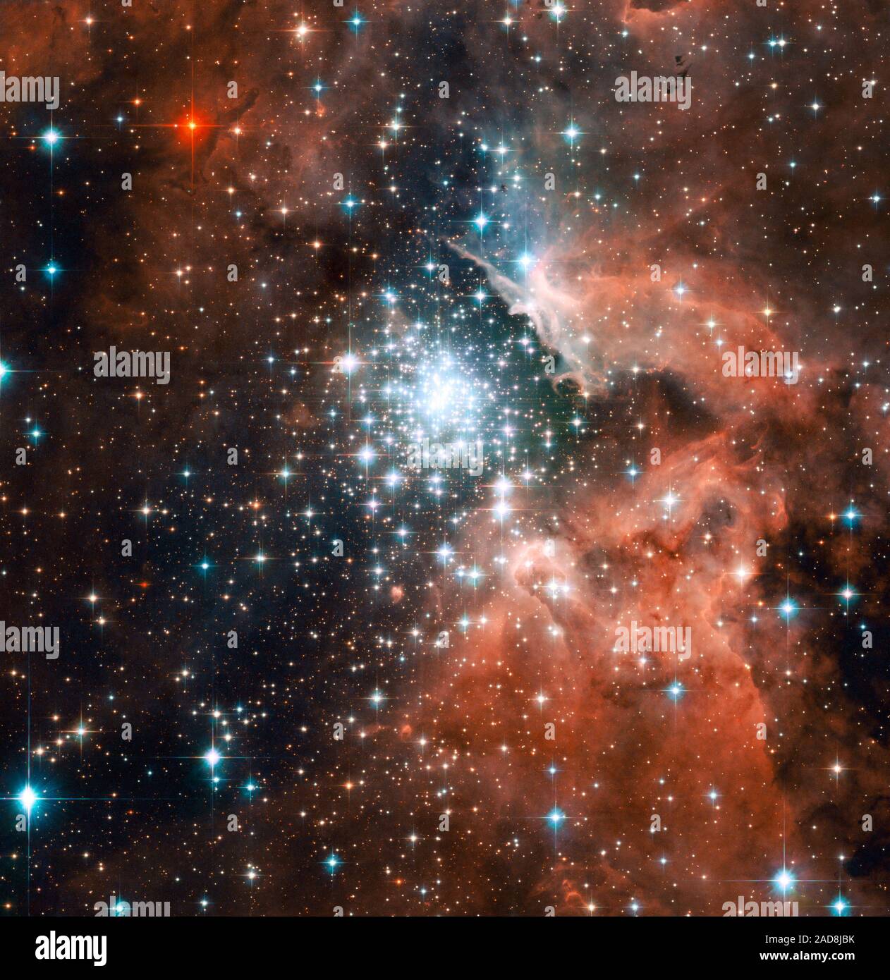 Thousands of sparkling young stars are nestled within the giant nebula NGC 3603. This stellar "jewel box" is one of the most massive young star clusters in the Milky Way Galaxy.   NGC 3603 is a prominent star-forming region in the Carina spiral arm of the Milky Way, about 20,000 light-years away. This latest image from NASA's Hubble Space Telescope shows a young star cluster surrounded by a vast region of dust and gas.    The image reveals stages in the life cycle of stars.    Powerful ultraviolet radiation and fast winds from the bluest and hottest stars have blown a big bubble around the clu Stock Photo