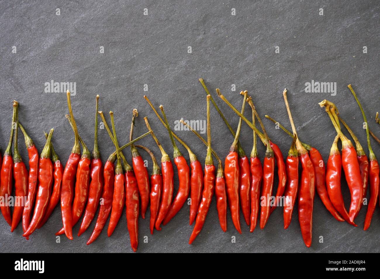 A row of bright red Thai chiles with green stems on a gray slate background; view from above; food, design, background Stock Photo